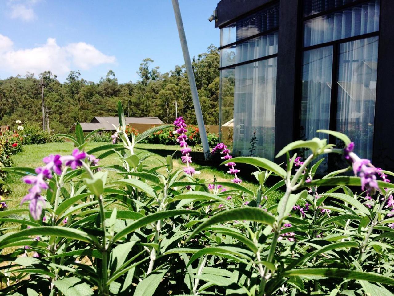 Kingsford Residences Nuwara Eliya Exterior foto